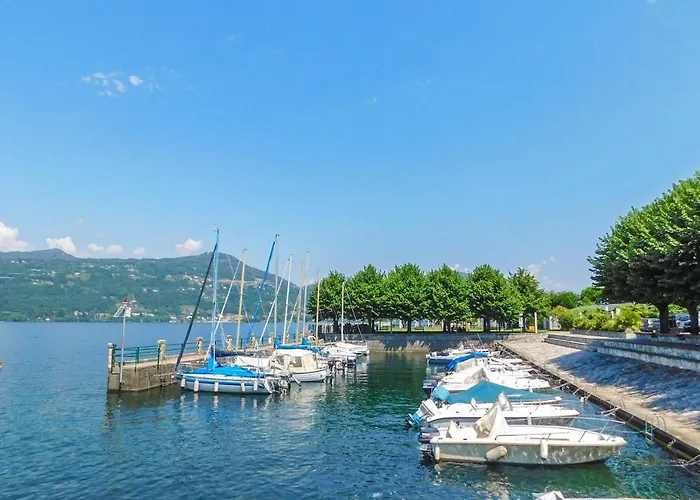 Begonia ストレーザ