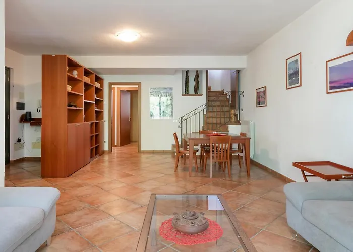 Begonia بيت للعطل *