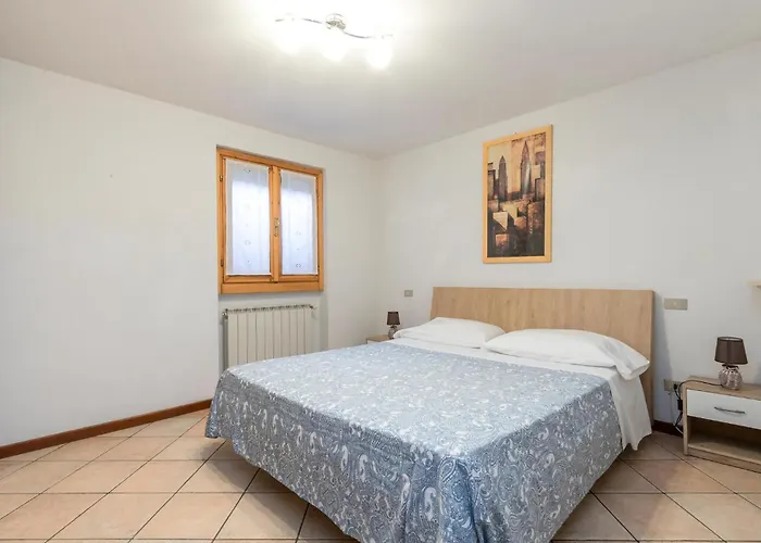 Begonia ستريزا