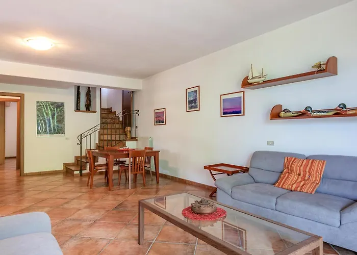 بيت للعطل Begonia *