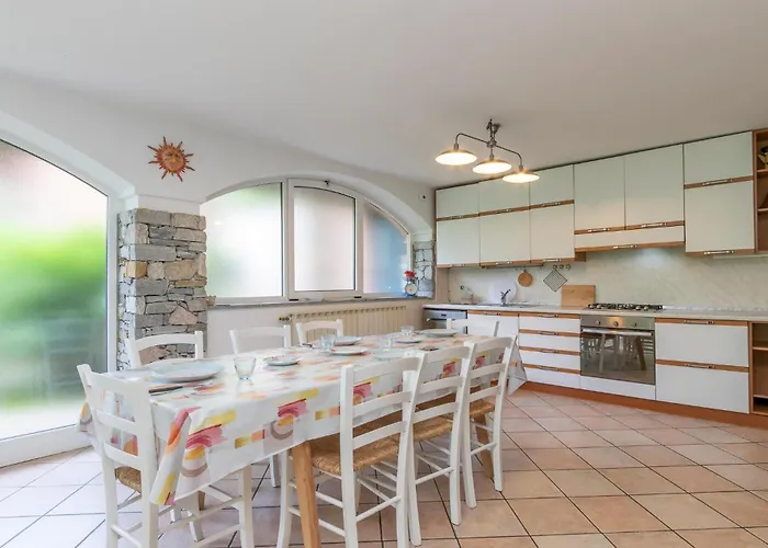 Begonia ستريزا