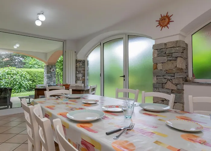 Begonia * ستريزا